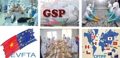 Khóa tập huấn Quy định chứng nhận xuất xứ hàng hóa theo cam kết ưu đãi tại GSP, EVFTA, CPTPP và Quy định mới khác trong lĩnh vực xuất xứ hàng hóa