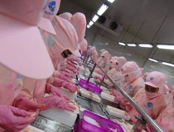 Minh Phu - Hau Giang Seafood Corp tăng vốn lên hơn 866 tỷ đồng