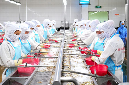 Công ty mẹ Thủy sản Minh Phú lãi ròng quý II gấp 7 lần cùng kỳ