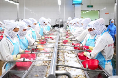 ‘Vua tôm’ Minh Phú sắp tăng vốn lên gần 2.200 tỷ