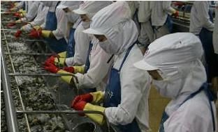 MPC Lợi nhuận quý I2014 tăng hơn 9 lần cùng kỳ