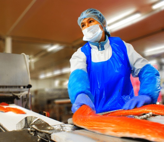 Ngành cá hồi dự kiến phục hồi nhanh hơn sau dịch COVID-19