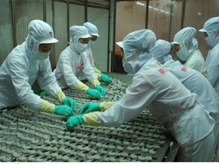 Minh Phú Doanh thu quý I2014 tăng 98% vì không ảnh hưởng dịch bệnh