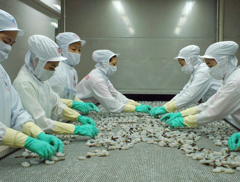 MPC Cổ tức 2013 sẽ được trả sớm hơn 15 ngày