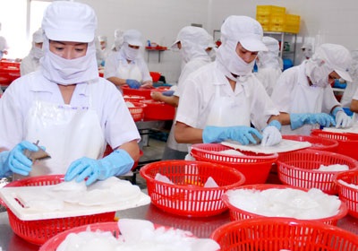 Bồ Đào Nha tăng nhập mực, bạch tuộc chế biến