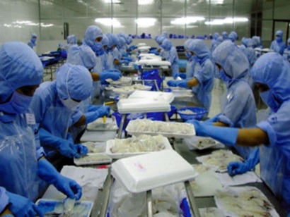 Xuất khẩu mực, bạch tuộc tăng trưởng tốt trong 2 tháng đầu năm 