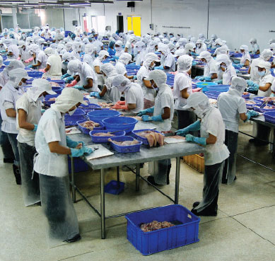 NTACO hợp tác với Binca Seafoods, cổ phiếu đã tăng trần 6 phiên liên tiếp