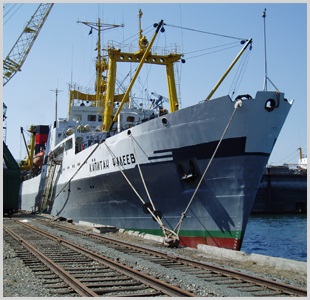 Các nhà khoa học Nga đề nghị cắt giảm hạn ngạch cá minh thái năm 2018