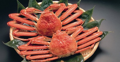 Giá cua tuyết cao