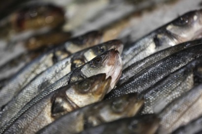 Nga Khủng hoảng tài chính tiếp tục ảnh hưởng đến tiêu thụ cá