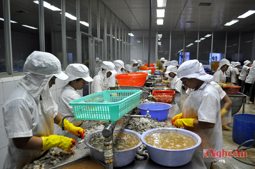 NGHE AN II SEAPRODEXIM JSC Tự chủ và sáng tạo trong kinh doanh