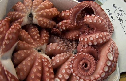 Nhật Bản Giá bạch tuộc tăng do nguồn cung thấp 