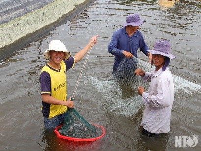 Tạo “cú huých” cho phát triển nuôi trồng thủy sản