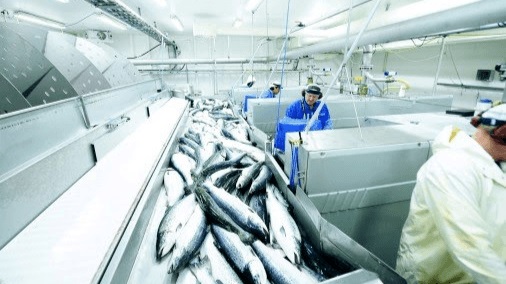 Xuất khẩu thủy sản Na Uy tháng 42020 giảm do COVID-19