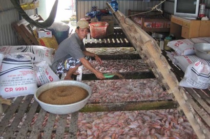 Hỗ trợ nuôi cá nước ngọt theo hướng bền vững