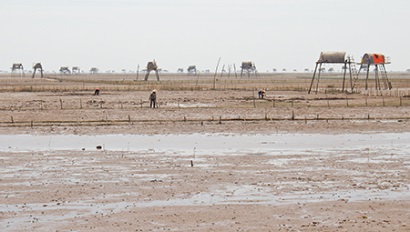 20 năm vượt khó với con ngao