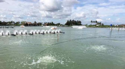 Đà Nẵng Tăng gấp đôi diện tích nuôi tôm tại Trường Định