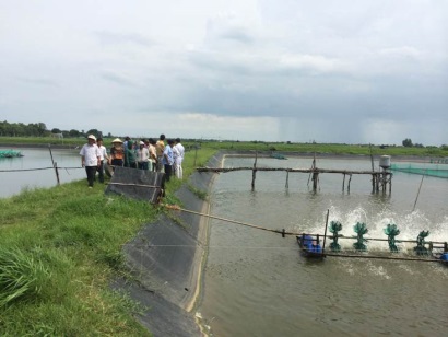 Bà Rịa - Vũng Tàu Thông báo môi trường vùng nuôi thủy sản qua tin nhắn