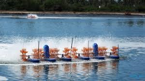 Hải Phòng Tổng sản lượng nuôi trồng và khai thác thủy sản tháng 022017 ước 11.796 tấn