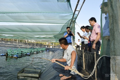 15 tiêu chí giám sát, đánh giá về cơ cấu lại ngành nông nghiệp