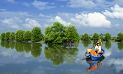 Cà Mau Hỗ trợ giống cho hộ dân nuôi tôm sinh thái