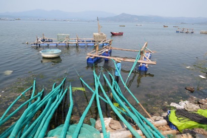 Tháo dỡ 54 bè nuôi vẹm trái phép trong đầm Ô Loan