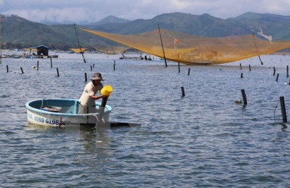 Hoàn thiện dự thảo kế hoạch phát triển ngành tôm đến năm 2025