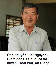 Ông Nguyễn Hữu Nguyên (Hiệp hội Cá tra An Giang) Cần có chính sách kiểm soát nguồn cung nguyên liệu cá tra