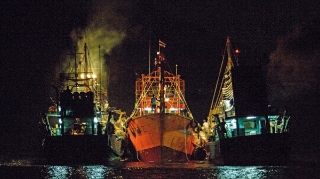 Panama tái khẳng định cam kết chống khai thác bất hợp pháp