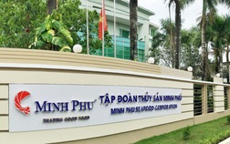Minh Phú (MPC) 9 tháng lãi ròng 681 tỷ, tăng 58% so với cùng kỳ