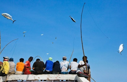 Indonesia ra mắt thương hiệu cá ngừ “One-by-One”