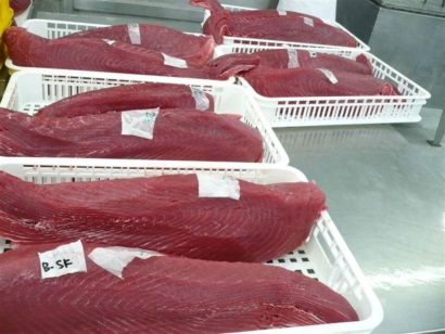 Thái Lan mất thị phần thănphilê cá ngừ hấp chín tại Mỹ vào tay Trung Quốc, Mauritius