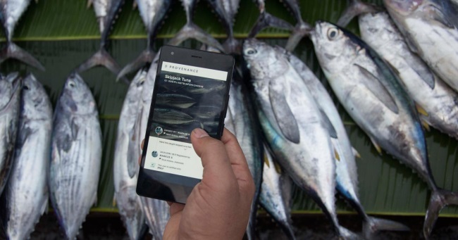 Tăng cường khả năng truy xuất và tính hợp pháp của thuỷ sản nhập khẩu 