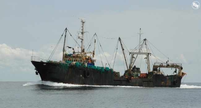 WWF EU cần làm tốt hơn để ngăn chặn khai thác bất hợp pháp