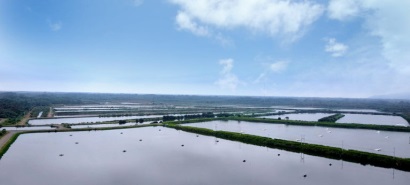 Ecuador Các trại nuôi được đầu tư hệ thống lưới điện mới