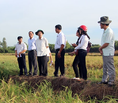 Triển vọng mô hình tôm – lúa
