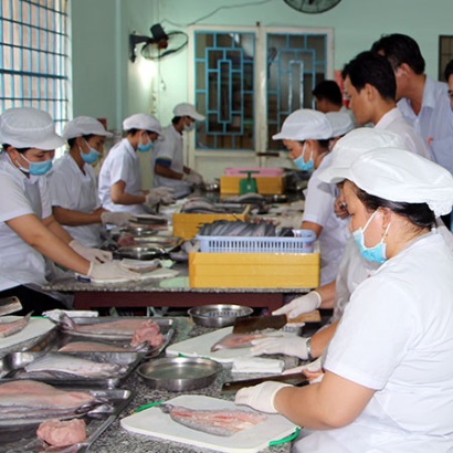 Giá cá thát lát giảm hơn 5.000 đồngkg