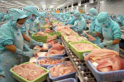 Ấn Độ Xuất khẩu thủy sản sẽ chững lại trong những tháng tới