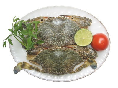 
SEAPRIEXCO No4 Lợi nhuận sau thuế quý 42018 tăng 168,9%