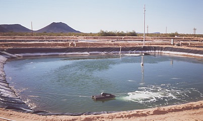 Tamil Nadu (Ấn Độ) Sản xuất tôm bị ảnh hưởng do bão