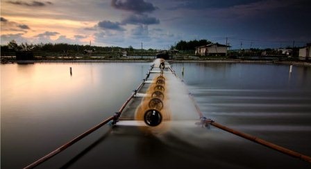 Indonesia Mục tiêu tăng trưởng xuất khẩu tôm 250% năm 2024