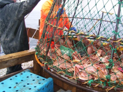 Nguồn cung cua tuyết thế giới giảm