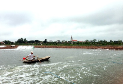 Ninh Bình Nông dân Kim Sơn xuống giống tôm vụ 1 trong điều kiện thuận lợi