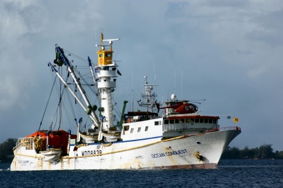 Giá cá ngừ vằn tăng do đội tàu Mỹ ngừng hoạt động