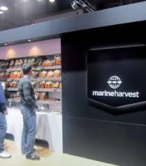 Marine Harvest và Espersen hợp tác phát triển thị trường cá thịt trắng ướp lạnh