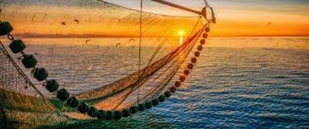 Argentina Sản lượng khai thác và xuất khẩu thủy sản năm 2019 giảm