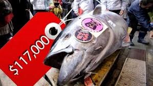 Cá ngừ được bán với giá 117.000 USD tại chợ đấu giá Tokyo