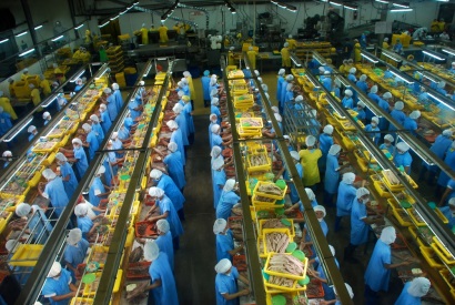 Các công ty cá ngừ Ecuador có kế hoạch phục hồi lợi nhuận