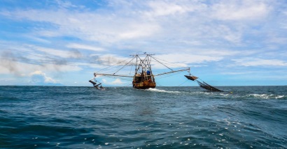 EU xóa bỏ thẻ vàng cho Curaçao và Solomon