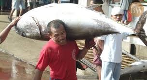 Cá ngừ của Philippines sẽ chịu thuế 22% nếu GSP+ bị xóa bỏ